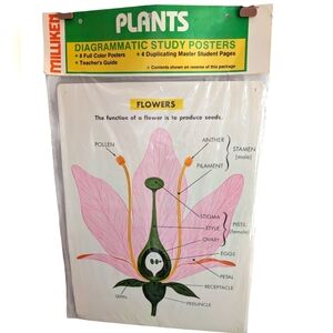 70s Vintage Milliken Publishing‎ Teacher Science Study Prints Plants NIP